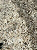Surface of soil with small pebbles and shells. Beach background. Geological structures. Natural background for your stylish designs from light stone texture in beige color. Blurred background. photo