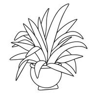 Houseplant hand drawn outline isolated on white background. Doodle houseplant. Vector illustration.