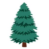 Christmas tree in flat style isolated on white background. Pine tree, Fir tree vector illustration.