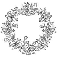 Orchid wreath hand drawn for adult coloring book vector