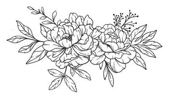 Peony  Line Art, Fine Line Peony Bouquets Hand Drawn Illustration. Coloring Page with Peony Flowers. vector