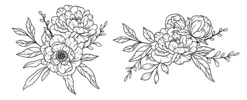 peonía línea arte, multa línea peonía ramos de flores mano dibujado ilustración. colorante página con peonía flores vector