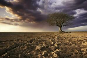 Lonely tree in desert with cloudly sky, beautiful landscape, Generative AI photo