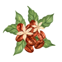 Composition of coffee beans with leaves and flowers. Production, harvesting. International coffee day. Watercolor and marker illustration. Isolated hand drawn art. png