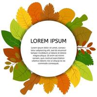 Colorful autumn leaves under white round label. Vector card with yellow leaves isolated on white background