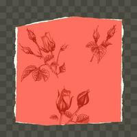 Trendy easy editable template for social media post in torn paper style. Roses flower theme Creative design background for individual and corporate web promotion, blogs vector