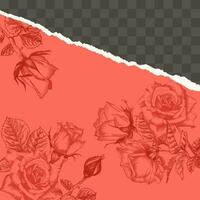 Trendy easy editable template for social media post in torn paper style. Roses flower theme Creative design background for individual and corporate web promotion, blogs vector