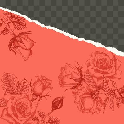 Trendy easy editable template for social media post in torn paper style. Roses flower theme Creative design background for individual and corporate web promotion, blogs