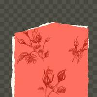 Trendy easy editable template for social media post in torn paper style. Roses flower theme Creative design background for individual and corporate web promotion, blogs vector