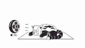 Fan blowing on sleeping red panda bw 2D character animation. Wind blowing ventilator in summer outline cartoon 4K video, alpha channel. Exotic bear lying animated animal isolated on white background video