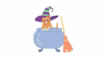 Witch hat cat leaping out of cauldron 2D animation. Animal in halloween costume 4K video motion graphic. Magic potion boiling. Kitten witchcraft color animated cartoon flat concept, white background