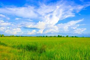 The sky and clouds of the green fields photo