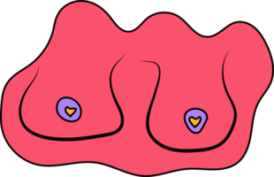 hand- getrokken vrouw borst. kleurrijk illustraties van borsten png