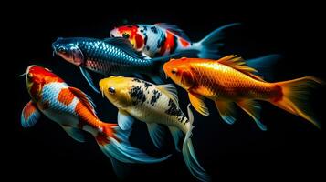 High resolution koi fish collection AI Generative photo