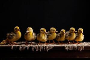 Ducklings marching on a black background AI Generative photo