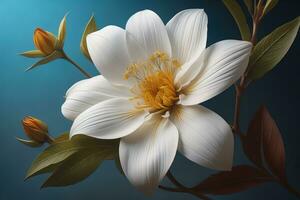 Beautiful white flowers on a dark background. Close-up. ai generative photo