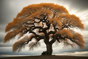 fantasía silueta de un árbol en el desierto. ai generativo foto