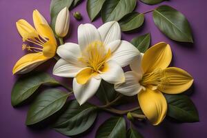 Beautiful white flowers on a dark background. Close-up. ai generative photo