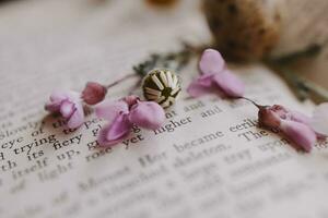 close-up  little spring flower daisy chamomile on the background of the old book photo