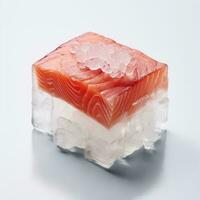 raw salmon frozen inside of a square block of ice photo