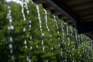 Raining day in a monsoon session photo