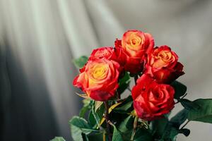 bouquet of scarlet roses holiday happiness photo