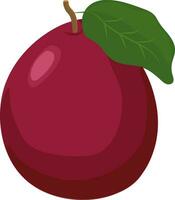 Illustration of red ripe pear. vector