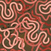 Vector seamless pattern with pink earthworms on dark soil background