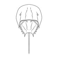 Asia Horseshoe Crab Tachypleus tridentatus isolated on white background. Vector illustration EPS 10. editable stroke.