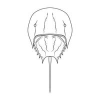 Asia Horseshoe Crab Tachypleus tridentatus isolated on white background. Vector illustration EPS 10. editable stroke.