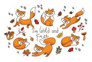 Wild fox in the autumn forest. Set of autumn illustration. Vector
