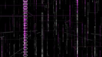 Pink color digital matrix background with and binary codes video