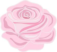 Pink rose flower on white background. vector