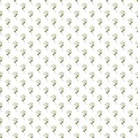 diseño de patrón de vector