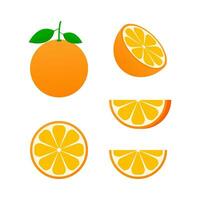 naranja entera y rodajas de naranjas. ilustración vectorial de naranjas. malla hecha a mano totalmente editable. vector