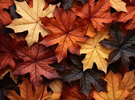 fondo de hojas caídas de otoño foto