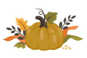 Ripe pumpkin with autumn leaves. Harvested crops. Natural vegetables. Healthy organic farm food. Vector illustration for fall design, proper nutrition, agricultural harvest, Thanksgiving Day