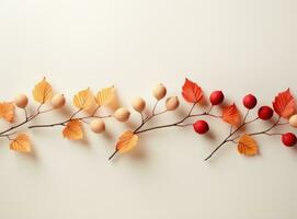 Autumn leaves background photo