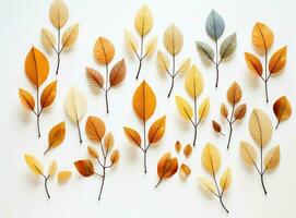 Autumn leaves collection photo