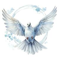 Watercolor wedding dove isolated photo