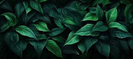 Green natural illustrated background with leaves photo