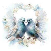 Watercolor wedding dove isolated photo