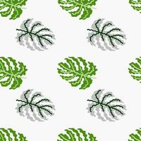 resumen tropical monstera hojas sin costura modelo. selva palma hoja decorativo fondo. vector