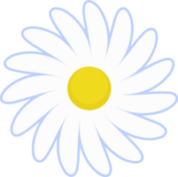 Daisy flower illustration. White chamomile cartoon retro design. png