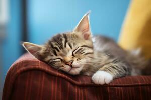 Close up shot of cute kitten sleeping on the sofa. AI Generated. photo