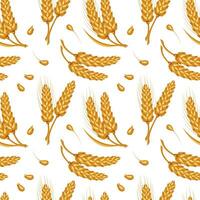 Seamless pattern of spikelets and rye seeds. Grains of rye on a white background. Agriculture background, print, vector