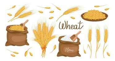 A set of grains and spikelets of wheat. Wheat plant, wheat grains in a plate, and a bag, wheat flour. Agriculture background, design elements, vector