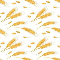 Seamless pattern of spikelets and seeds of wheat. Grains of wheat, barley, rye on a white background. Agriculture background, print, vector