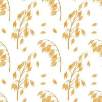 Seamless pattern of spikelets and oat seeds. Oat grains on a white background. Agriculture background, print, vector