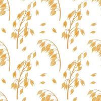 Seamless pattern of spikelets and oat seeds. Oat grains on a white background. Agriculture background, print, vector